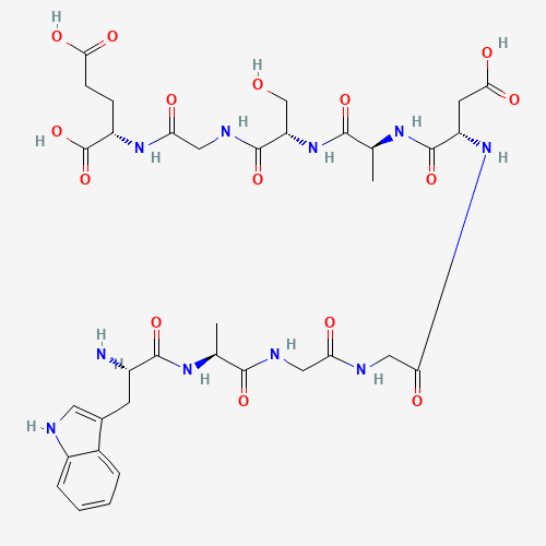 pe-1788211463204-16-15